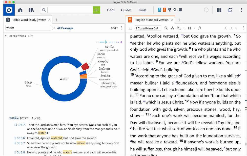 Bible word study example in Logos Bible Software